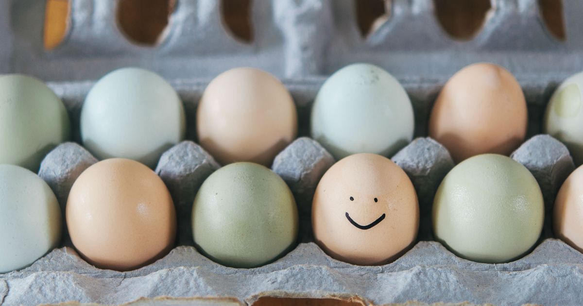 Infertility treatments What is a healthy egg? Today's Parent