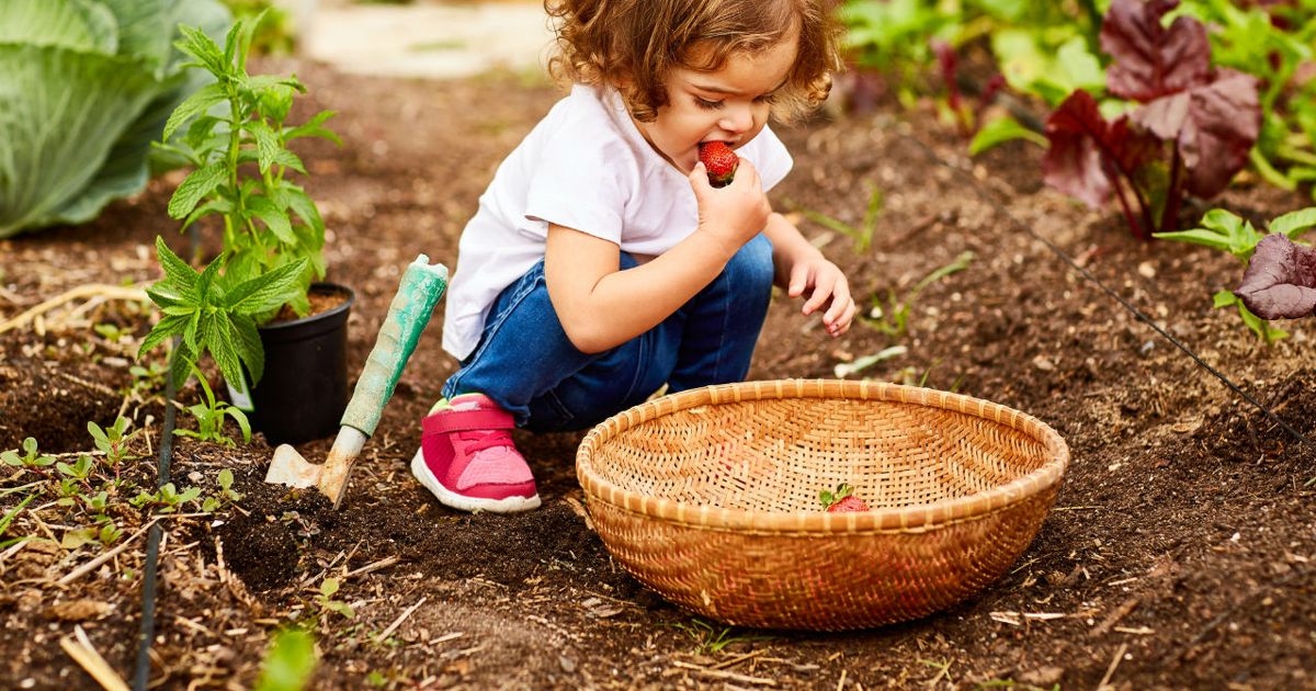 Растения для детей. Огород в городе. I like in the garden. Дача для дошкольников. Фон огород.