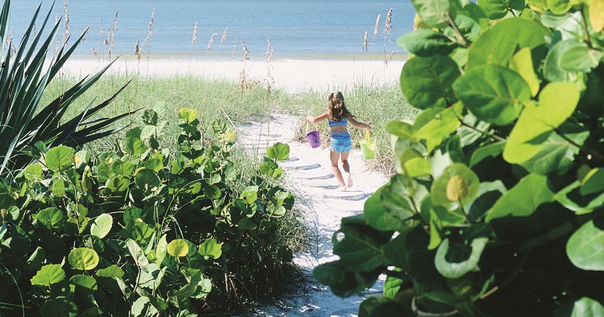 9 best things to do on Sanibel Island with kids - Today's Parent