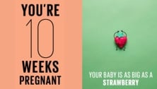 Your Pregnancy: 10 Weeks