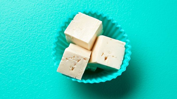 Cubes of tofu in a teal cup