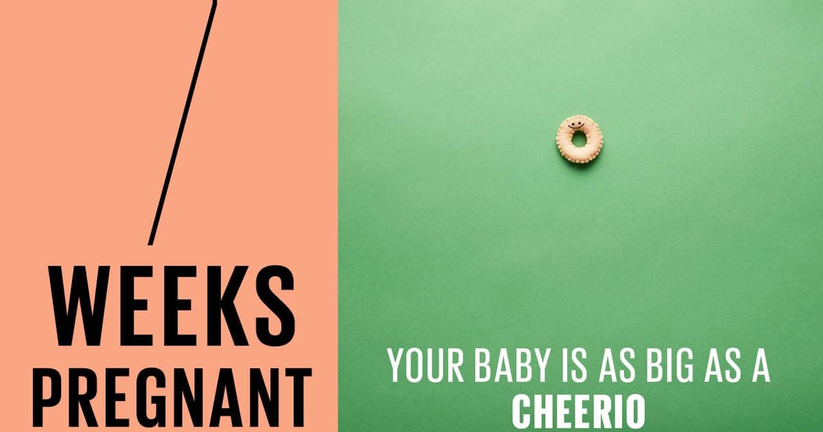 7 weeks pregnant Symptoms, tips and more Today's Parent