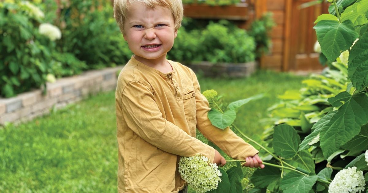 How to discipline a toddler who's testing you Today's Parent