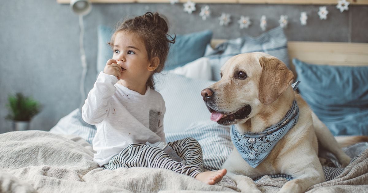 Is your new dog nipping, humping or playing rough with your kids