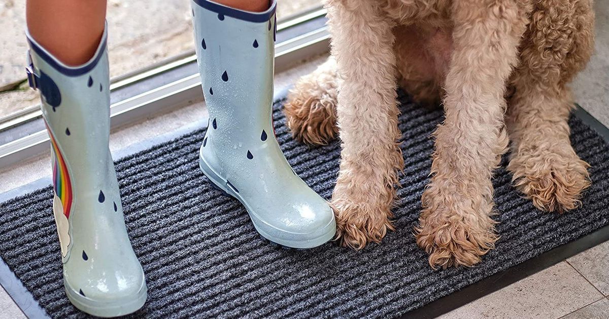 Best Entryway Rugs 2023 – Today’s Parent