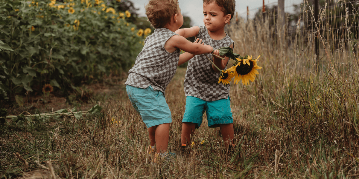 Ask Sarah: When Things Aren't Fair Between Siblings - Vimarsana News