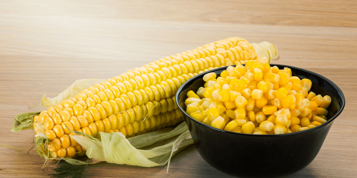Can Babies Eat Corn? Read This First - Today's Parent - Vimarsana News