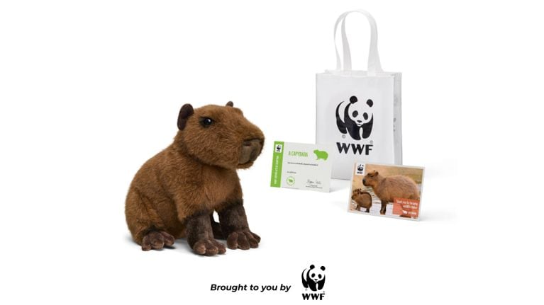26 Best Holiday Gifts That Give Back