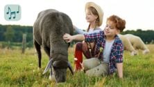 Baa Baa Black Sheep Song Lyrics