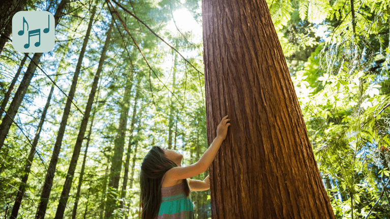 Come Follow Me to the Redwood Tree Lyrics