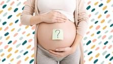When Does A Baby's Sex Develop in the Womb? Experts Explain