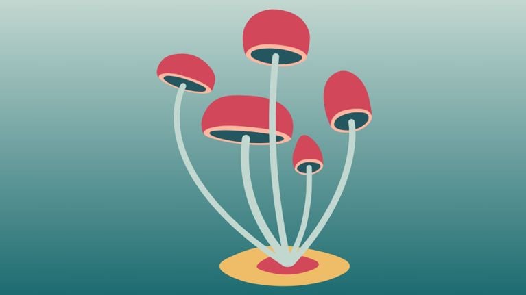 Minimalist illustration of tall, red-capped mushrooms with slender stems growing from a small patch of earth, set against a soft teal background. Represents psychedelic substances like psilocybin in a neutral, stylized way.