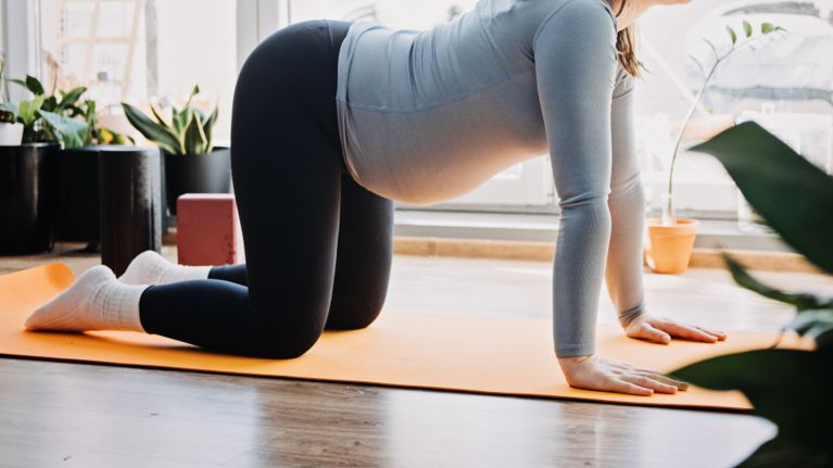 A pregnant person on hands and knees on an orange yoga mat, performing a gentle prenatal yoga stretch in a bright room with plants.
