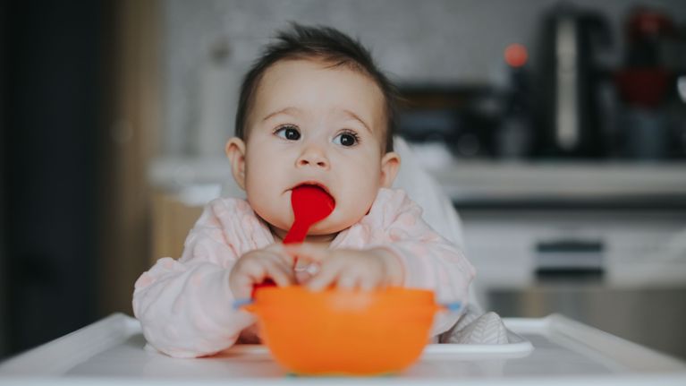 A baby sits in a high chair, holding an orange bowl and chewing on a red silicone spoon during mealtime.