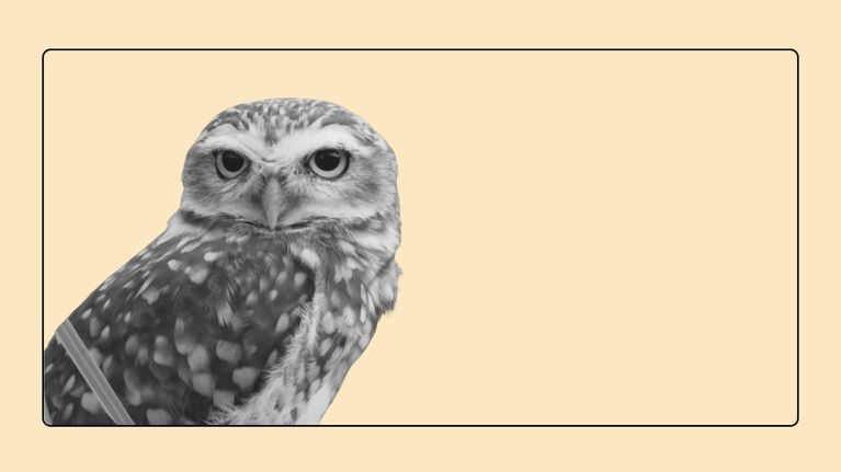 Monochrome portrait of a spotted owl with large yellow eyes positioned on the left side of a peach-colored frame.
