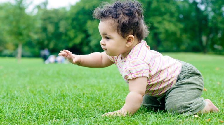 A baby crawls through lush green grass at a park, reaching out a hand to explore the texture.