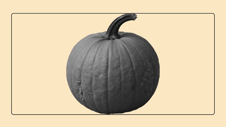 Monochrome illustration of a whole pumpkin with a prominent curved stem against a peach background within a frame.