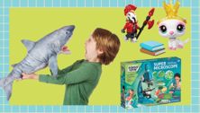 Top Birthday Gifts For Kids 4 To 8
