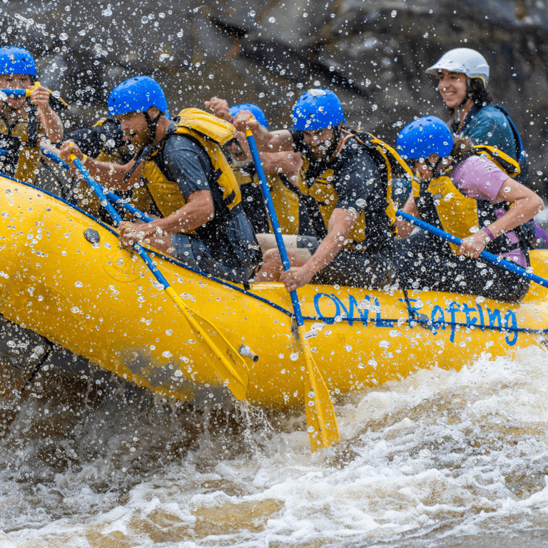 OWL Rafting on the Ottawa River