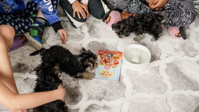 Check Out The Children’s Book Series Giving Apartment Kids The Spotlight