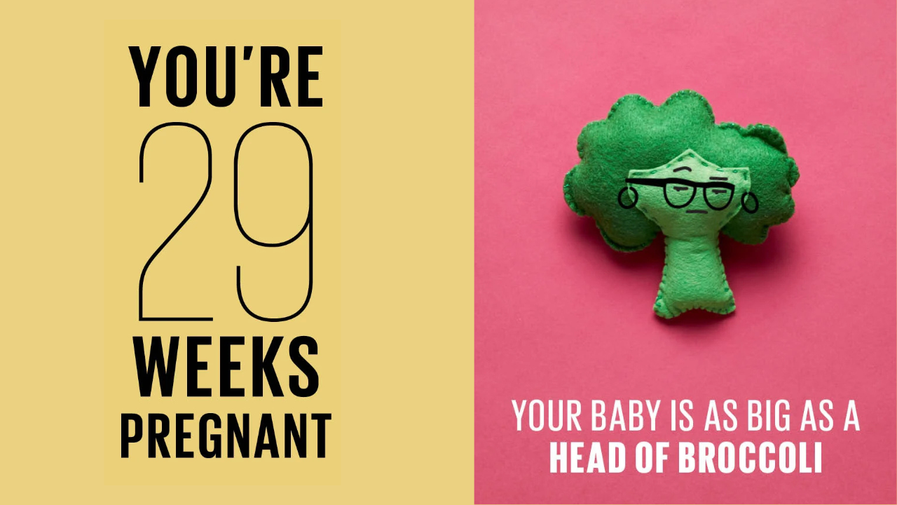 29 weeks pregnant