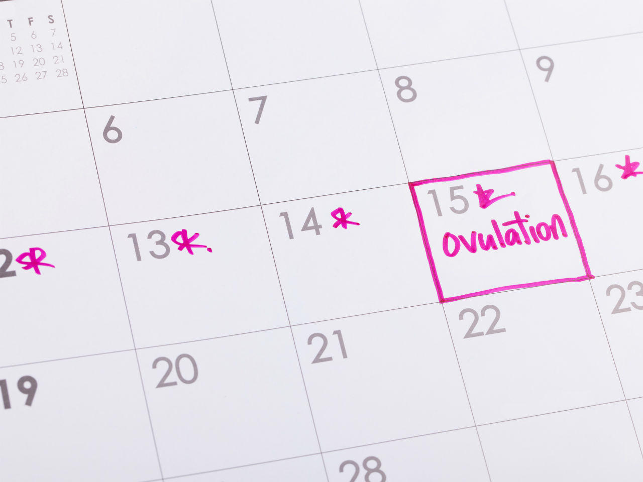 Calculate How Far I Am In My Pregnancy Outlet Smarys