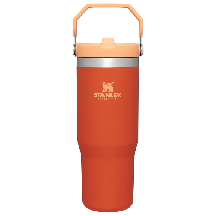 Stanley IceFlow Stainless Steel Tumbler with Straw